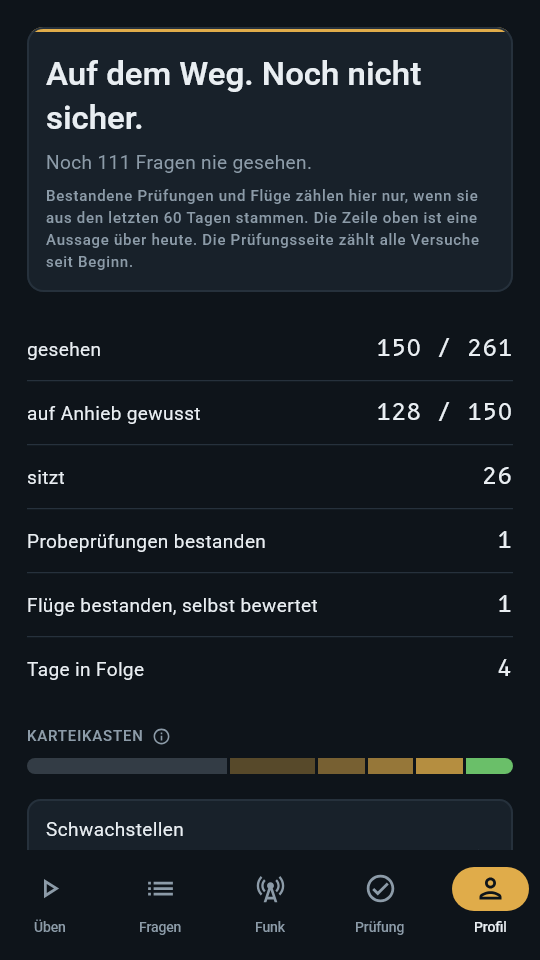 Der Lernstand mit Karteikasten in der App, dunkler Modus